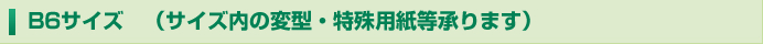 B6�T�C�Y