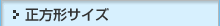A3�����T�C�Y