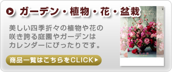 �A���E�ԁE�뉀