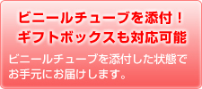 ビニールチューブ添付。ギフトボックスも対応